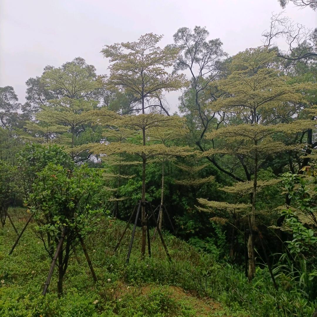 A池到了~刻骨铭心