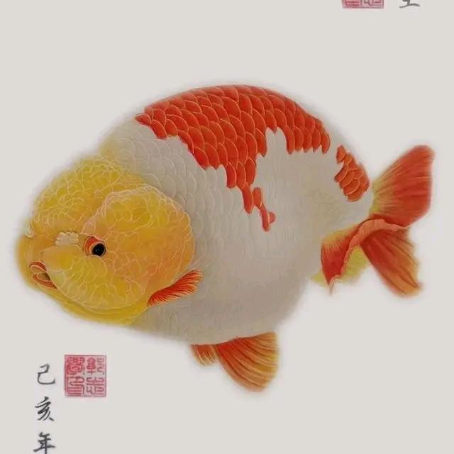阁僚哥养鱼记