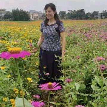 叶子