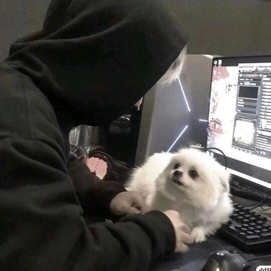 别睡觉了
