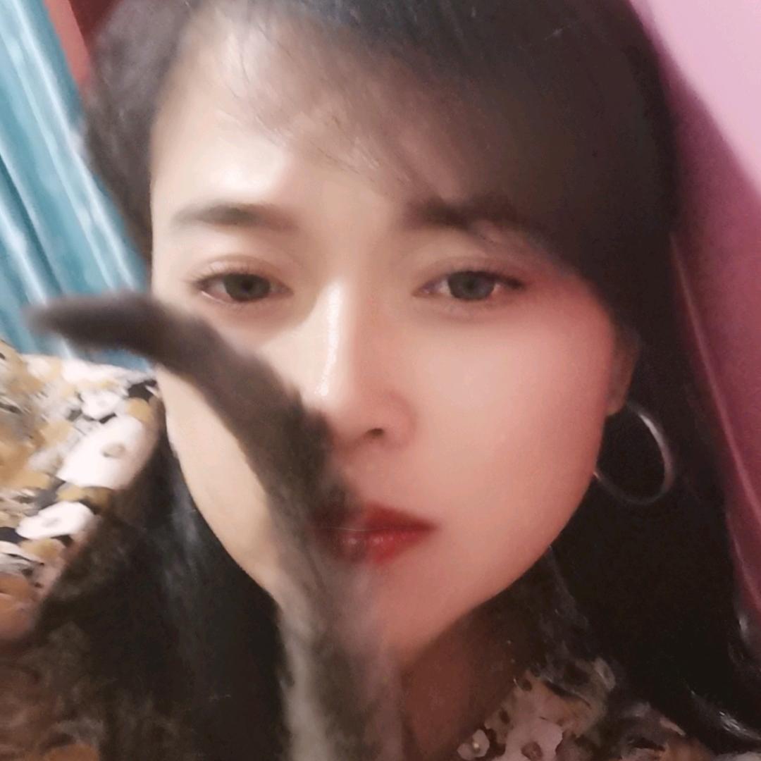 白熊