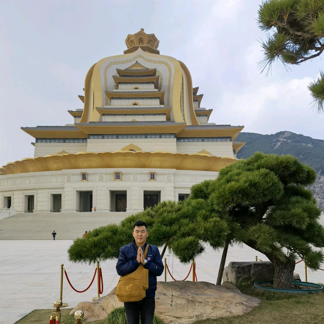 菩提树下听佛秦