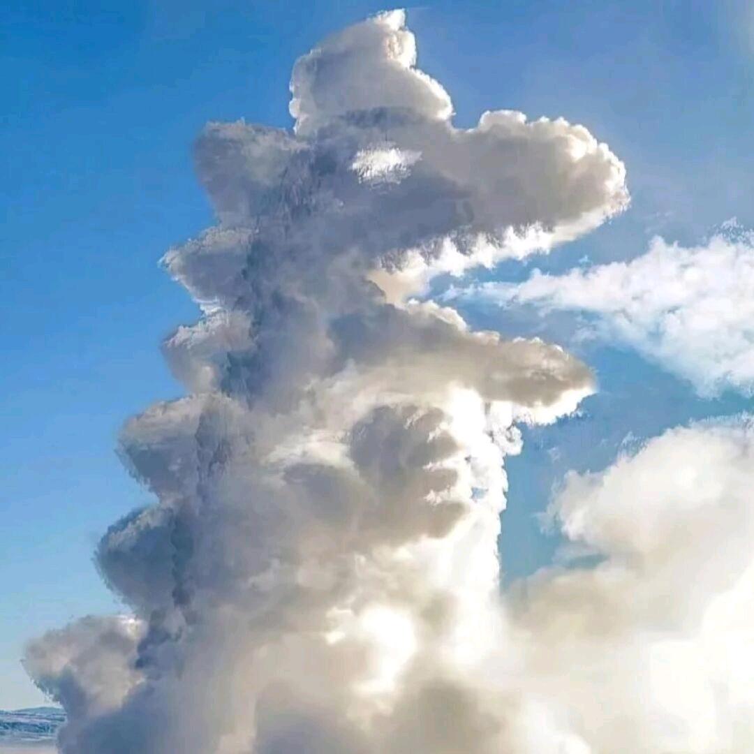 AAA批发初号机