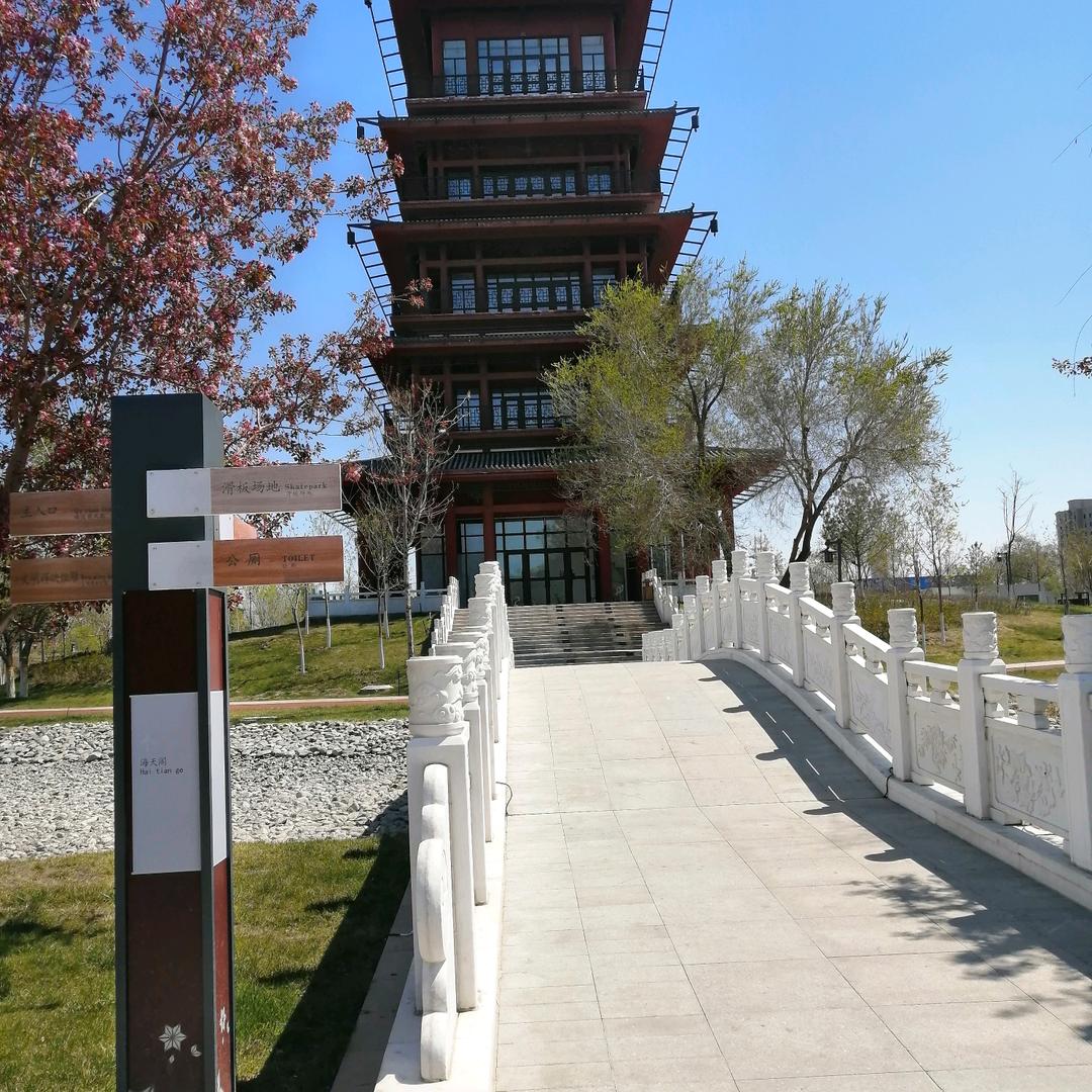 冯正科