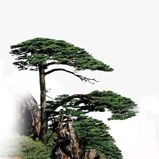 岩松
