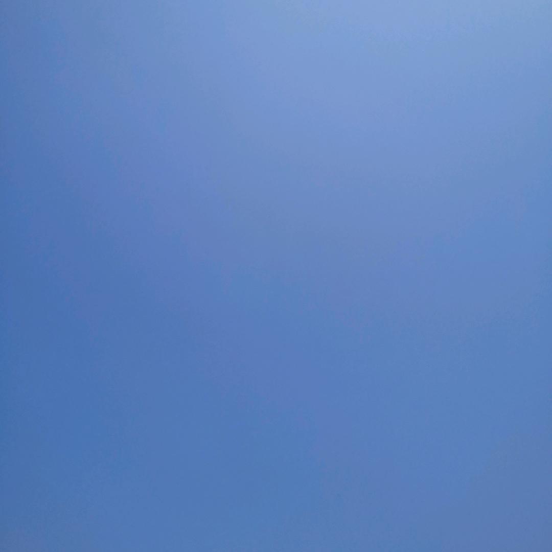 有李行天下