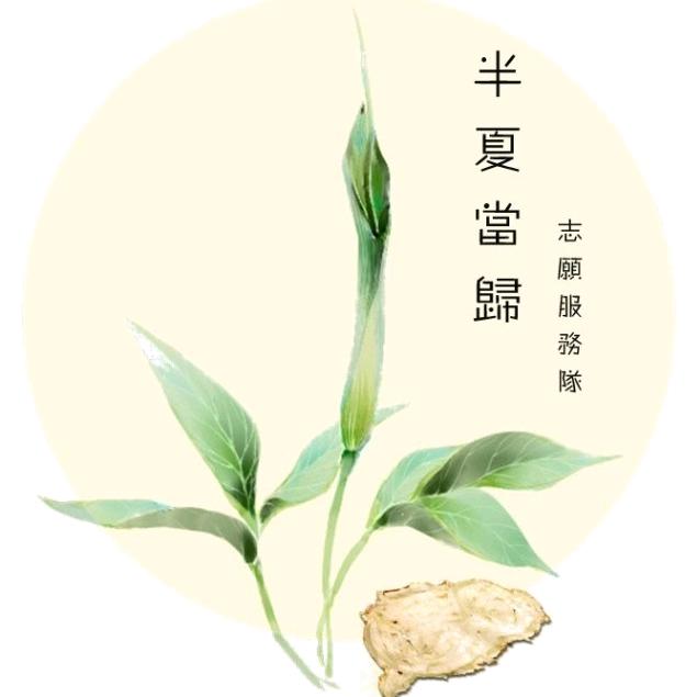 半夏当归志愿服务队酱✔