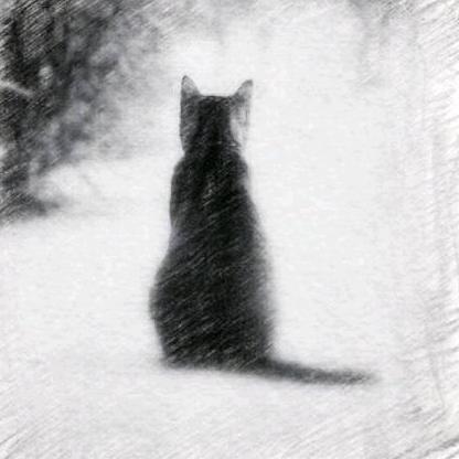 铭善（暗区突围）