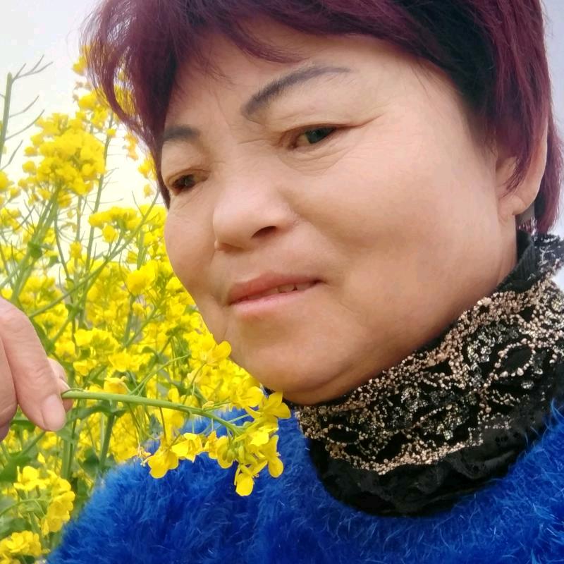 朱冬云