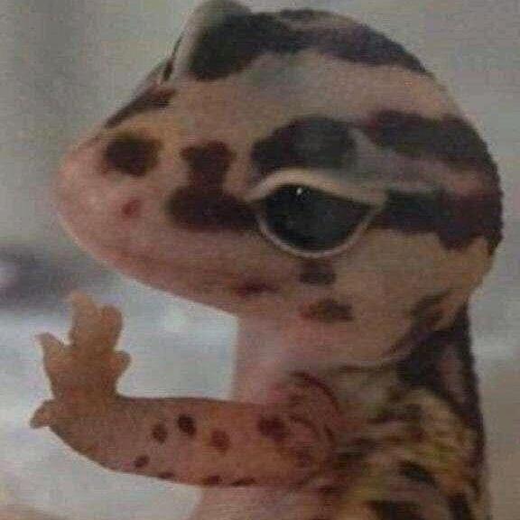 Y的第七章