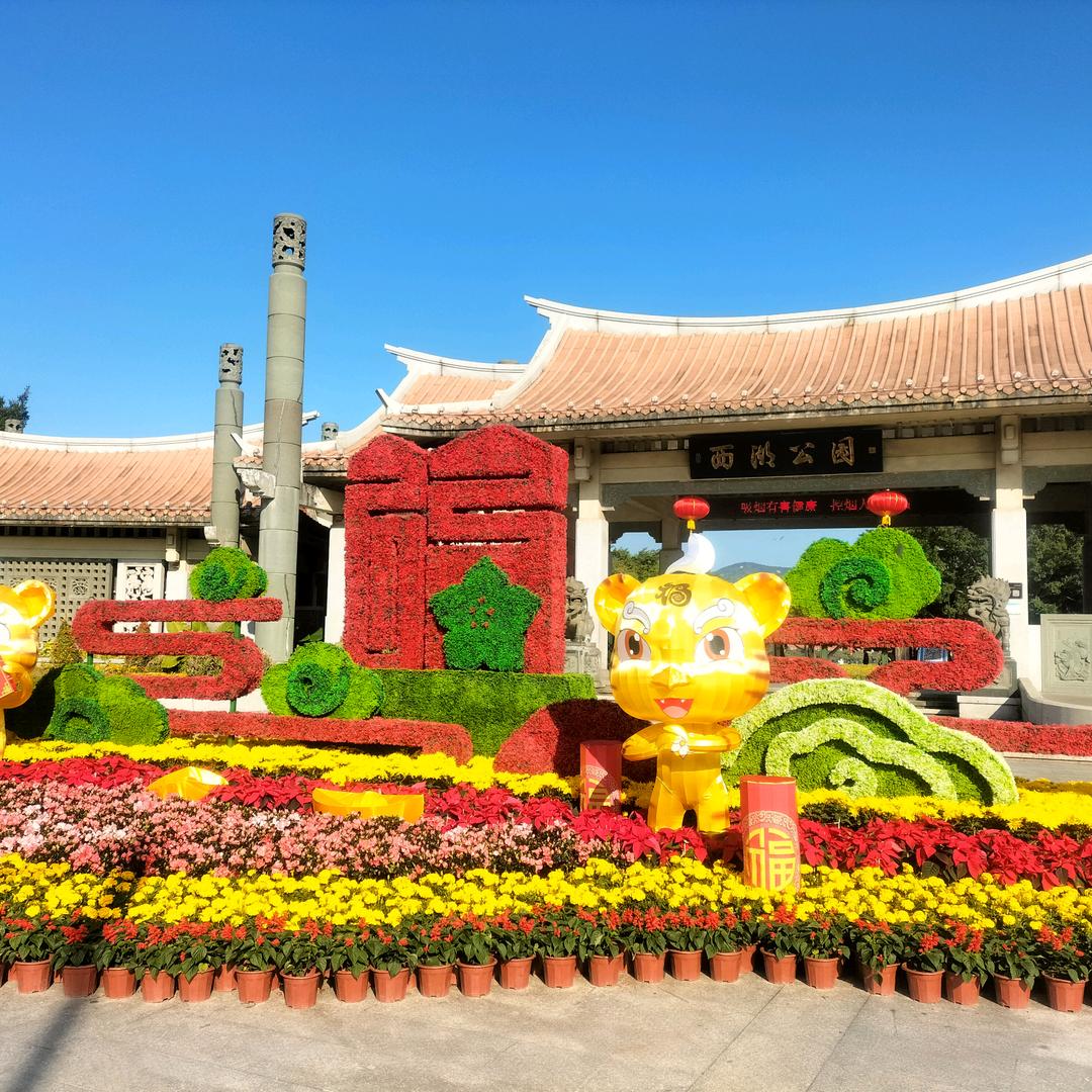 中国梦