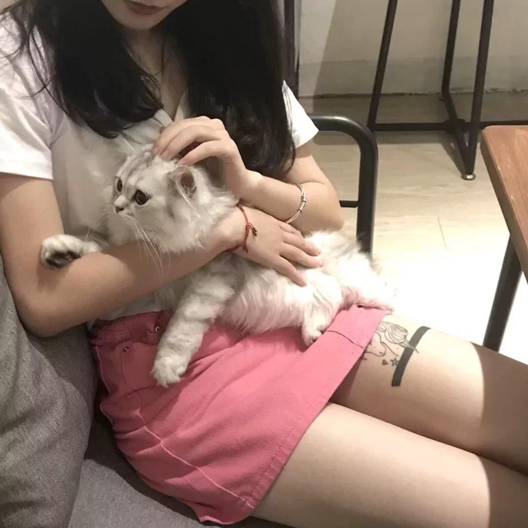 温柔.