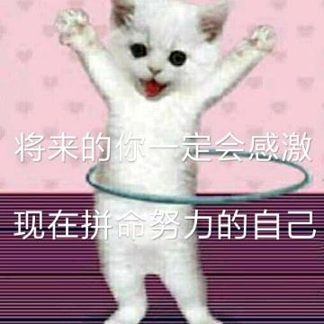 诚着成