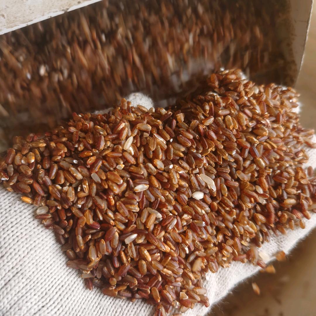 新农人    （   粒粒香）