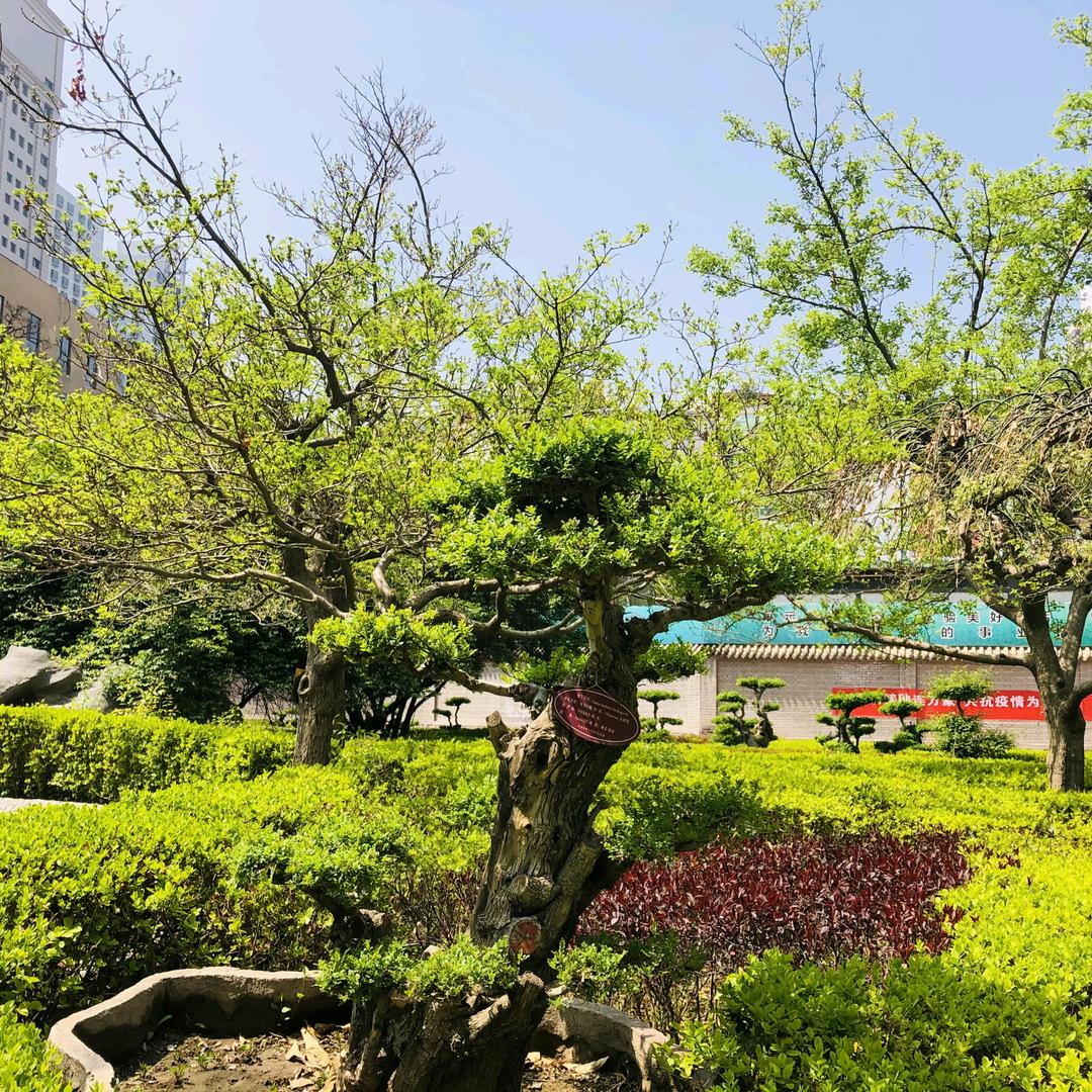 青海欧拉羊业
