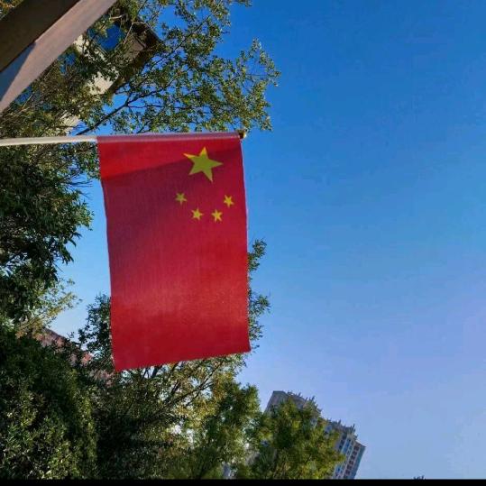 驾考程教练