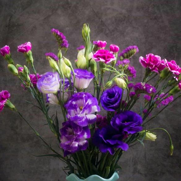 芙蓉