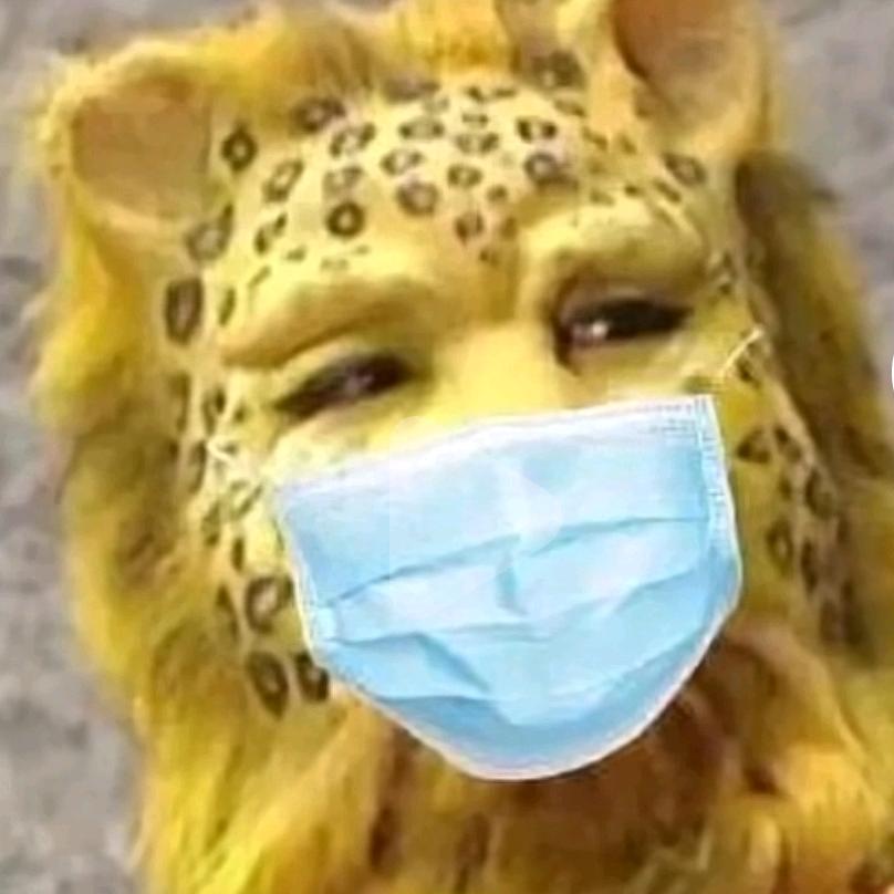 一条小鱼水里游🐠的推荐百货