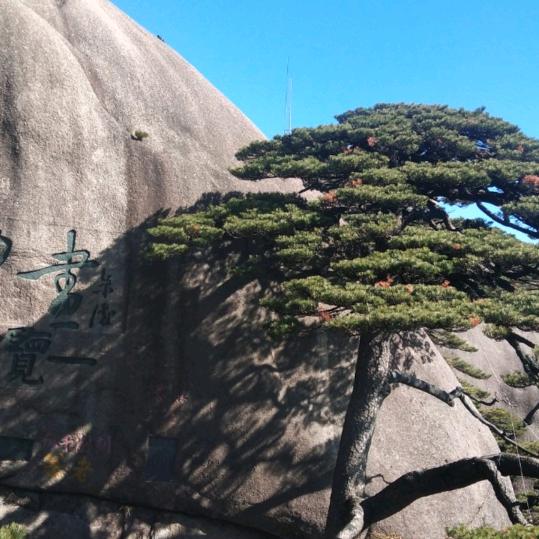 余扬