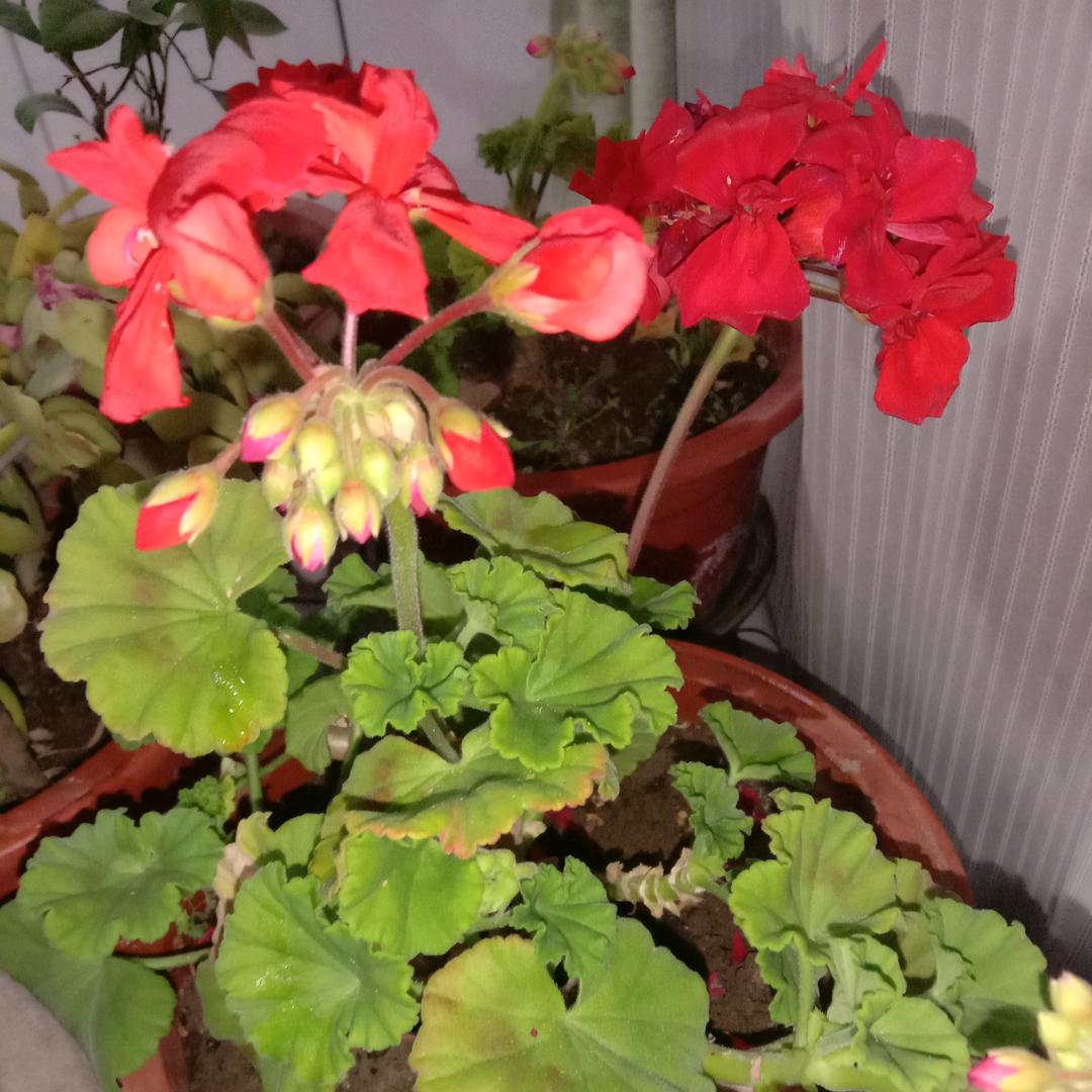 用户2018458889749善良的人