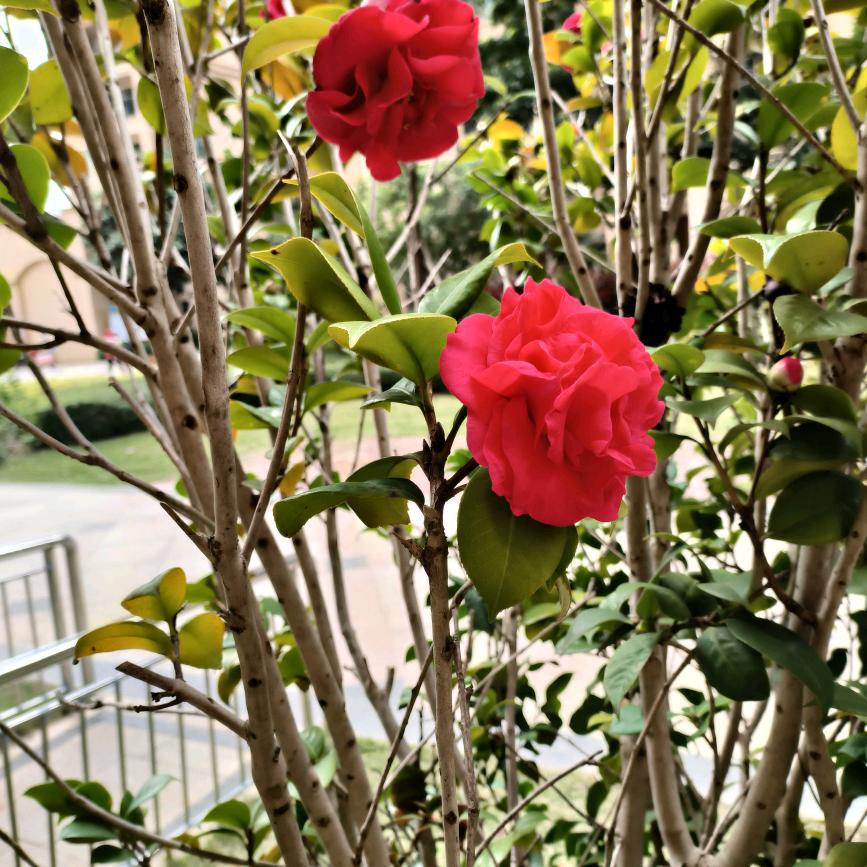春末夏初