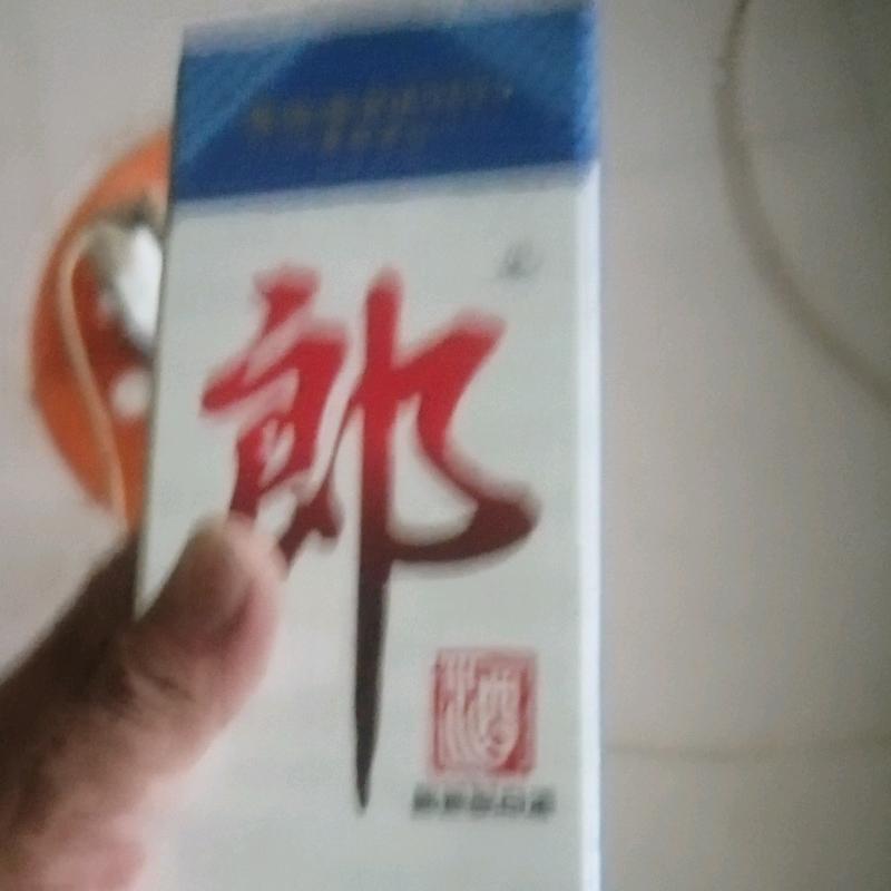 自由的人生