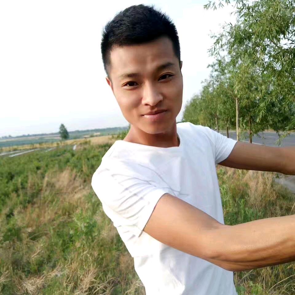 苹果李红