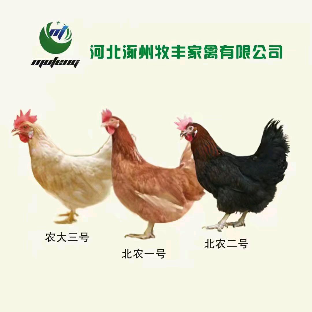 心如止水