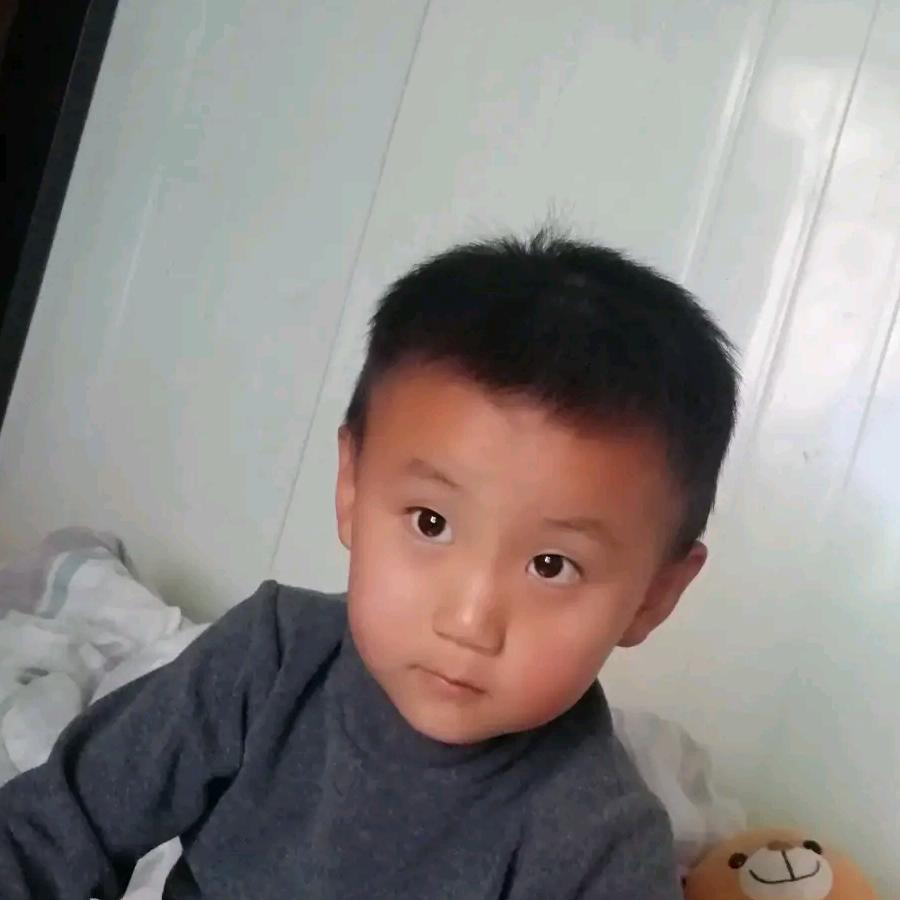 杨_20835317