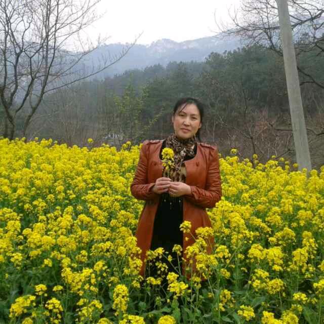 殷为是你