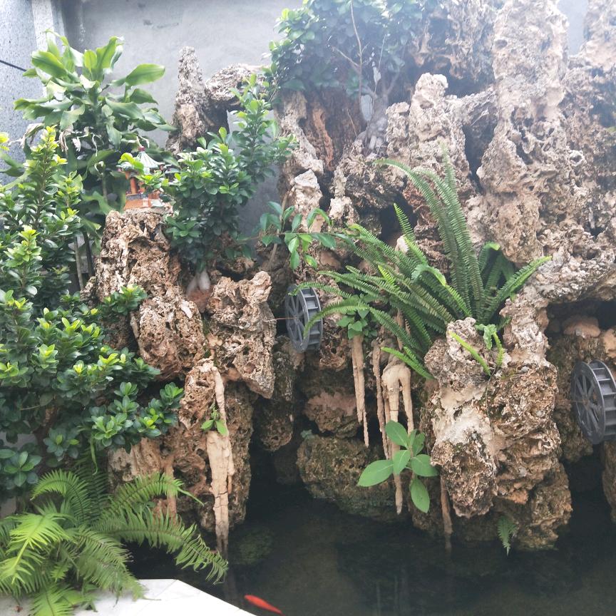 梦中见