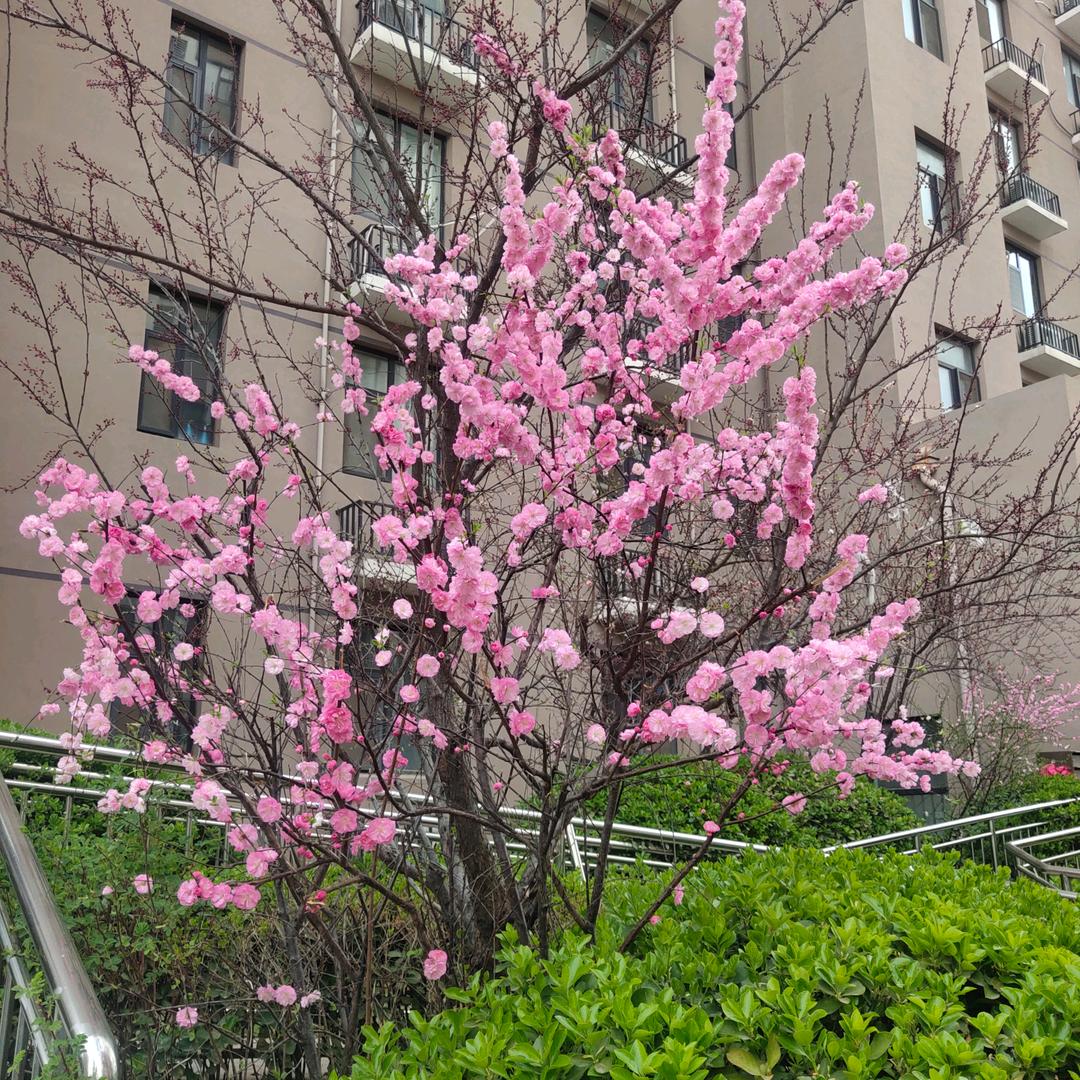 往后余生🌺