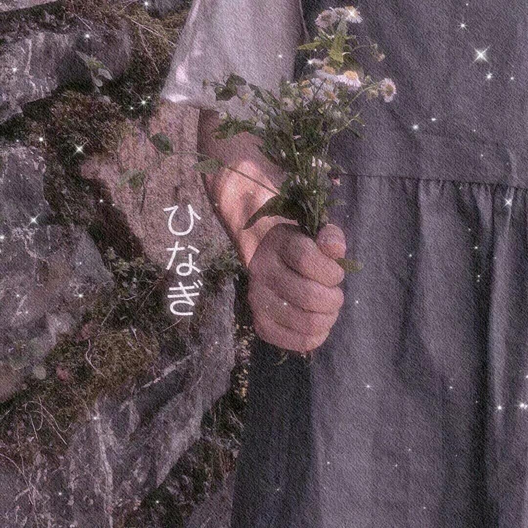 念啊鑫