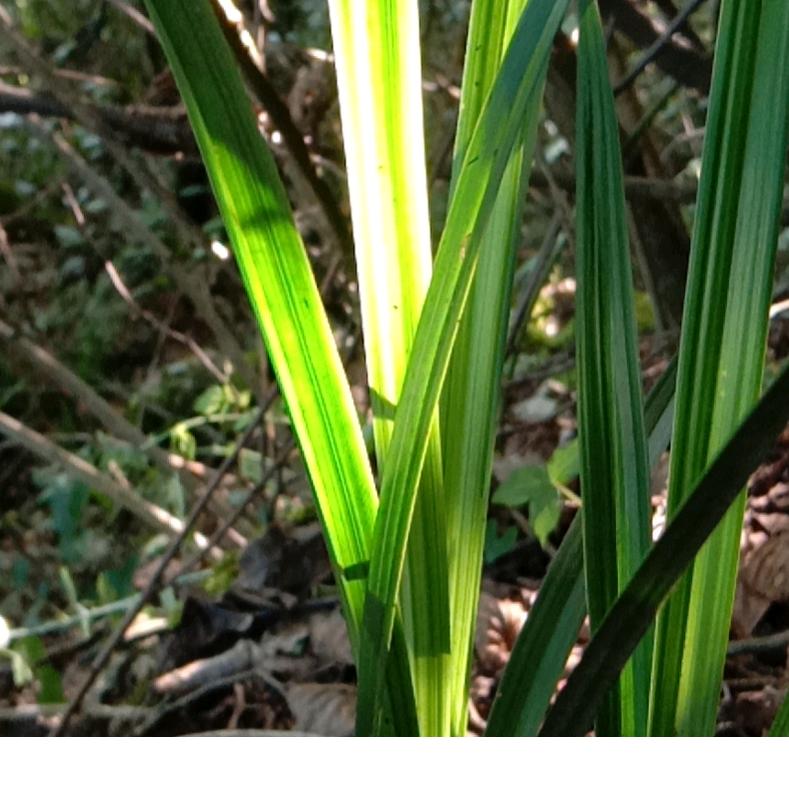 用户6762116861185陈金灿