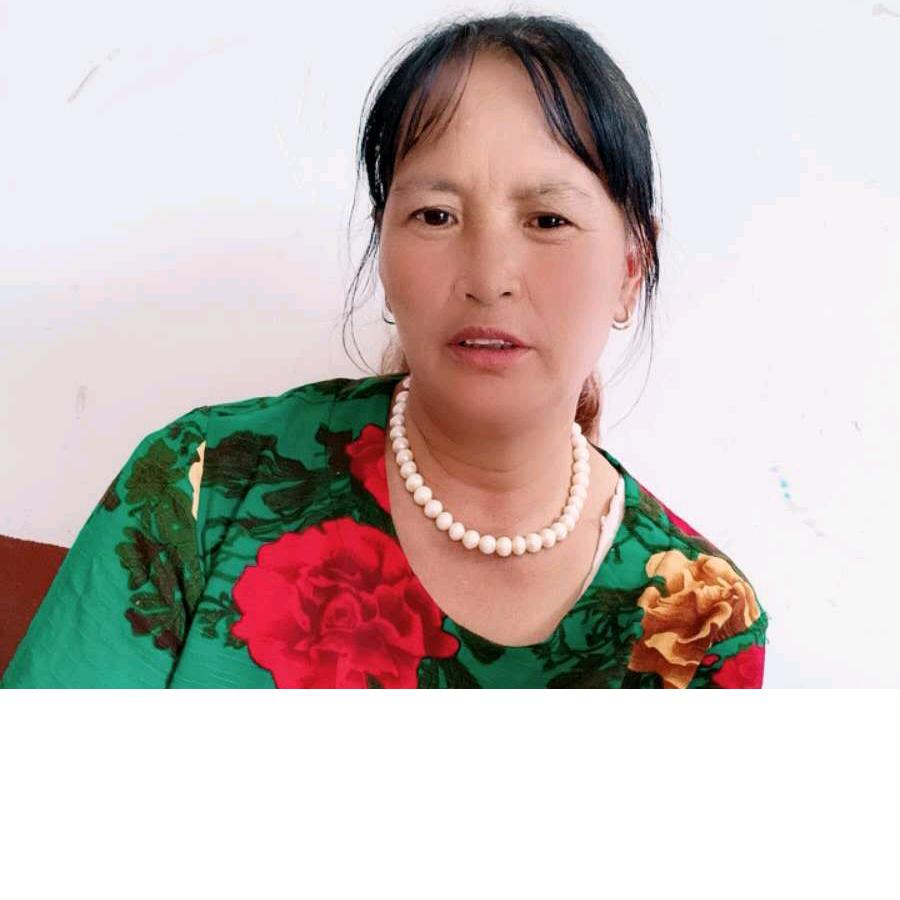 杨