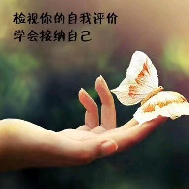 诗情。