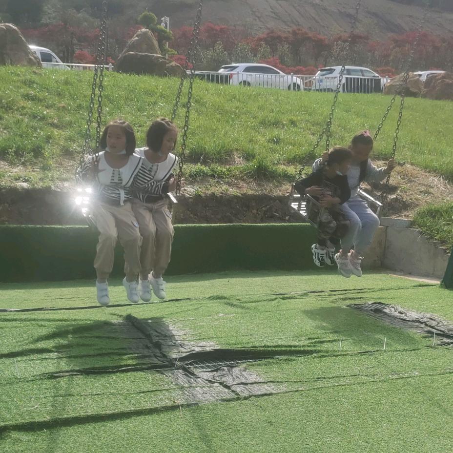 随道哥