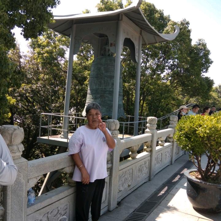 王怀英(仙河)头像