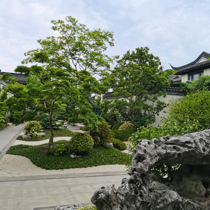 生活不易，且行且珍惜，胡子