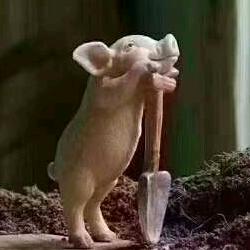 雨润放心肉(原电业局二十年老店)官方号