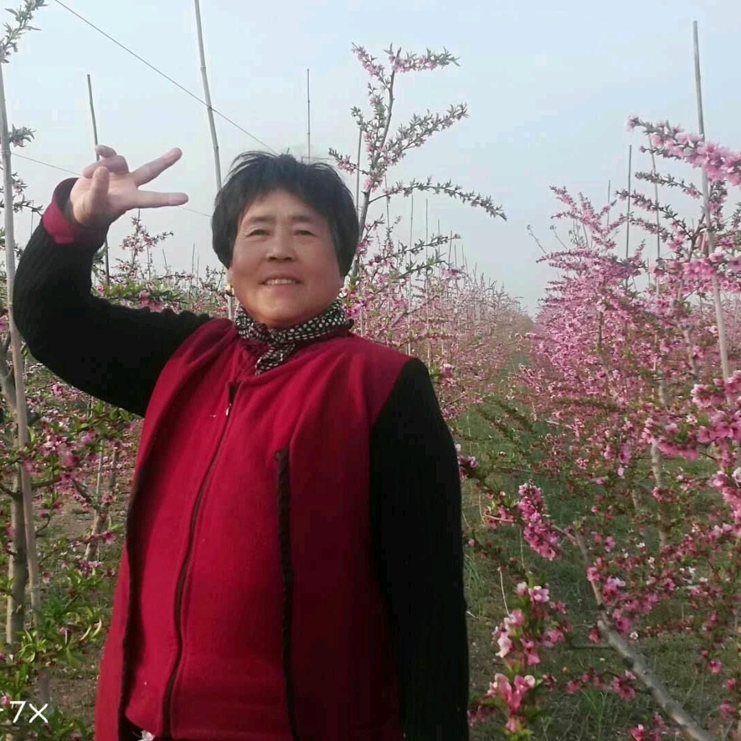 幸福人生∞