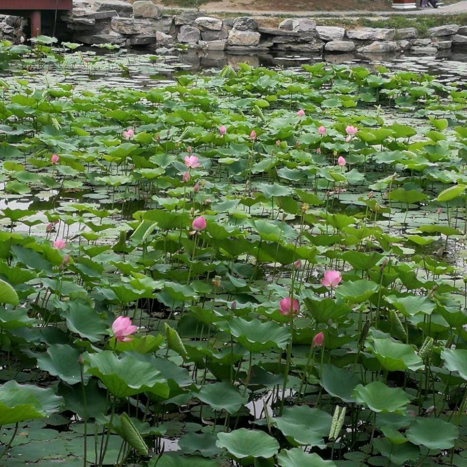 圆方内外