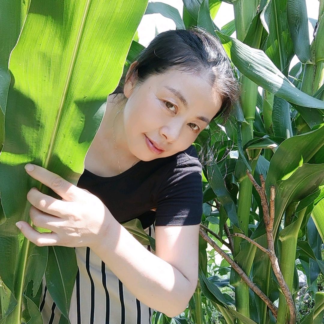 七皖饭