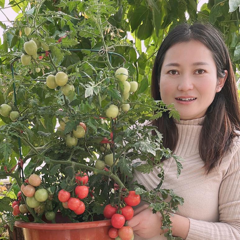 正荣种业