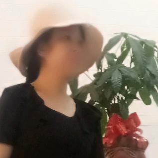 杨杨。
