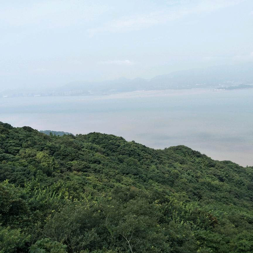 用户执着