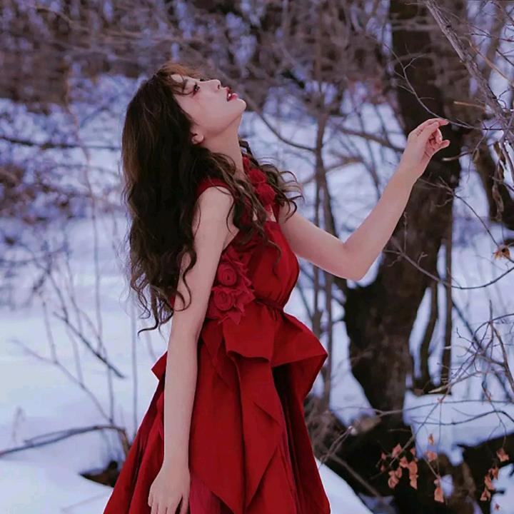 岁月如歌666