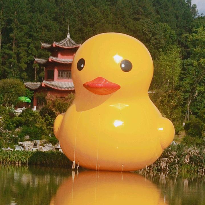 年年快乐