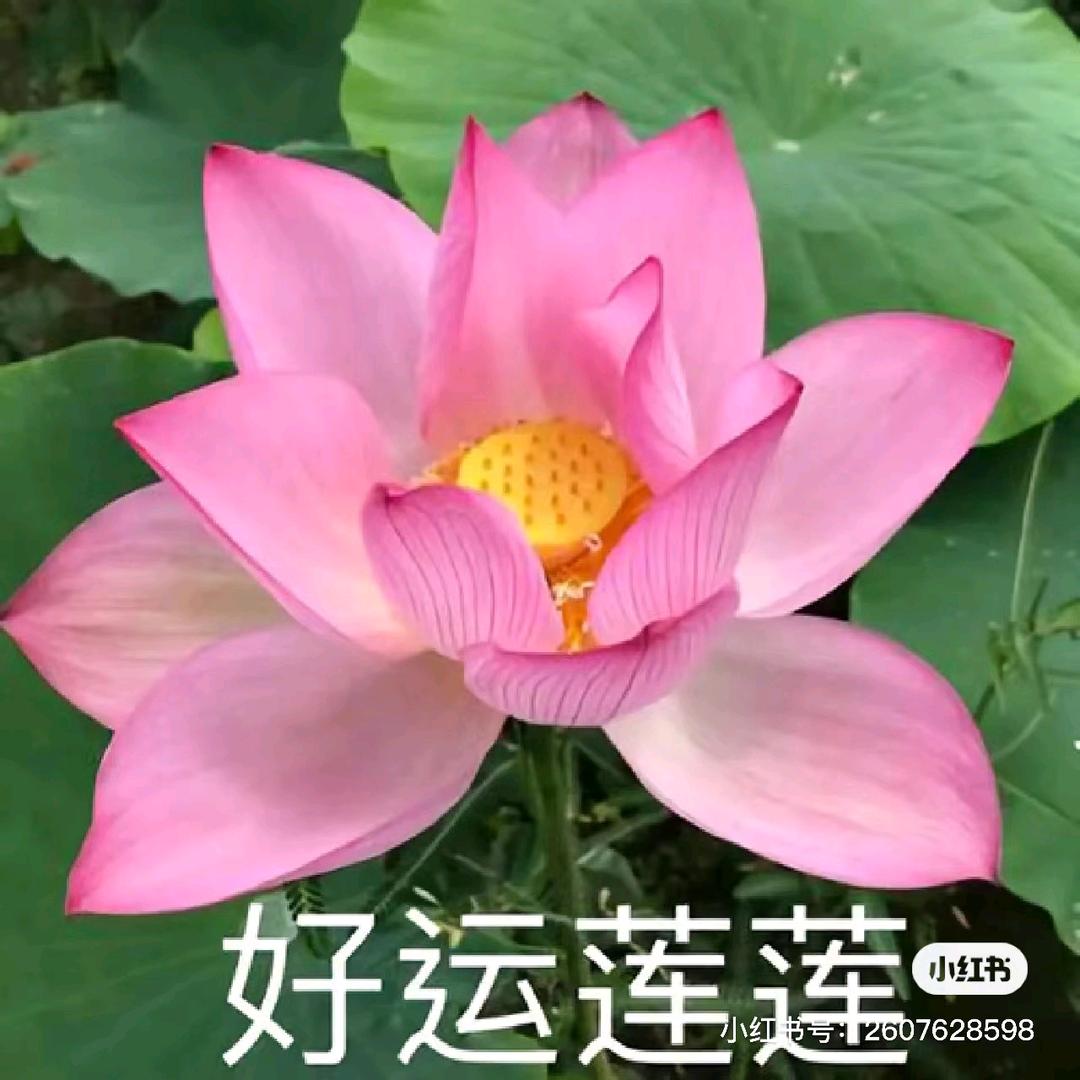 姐