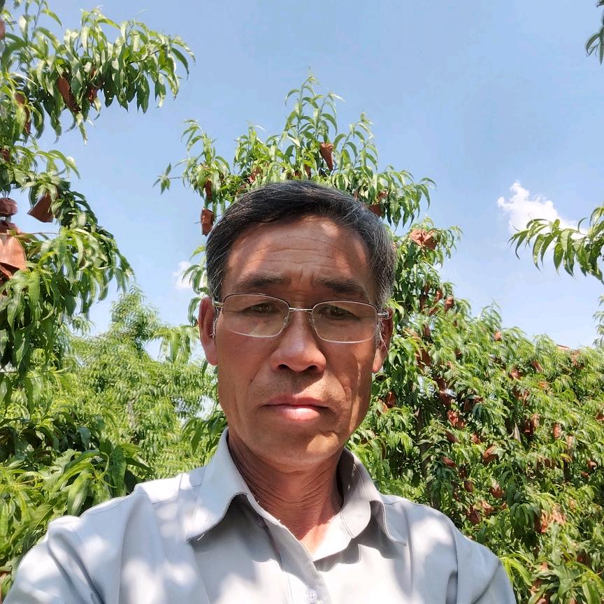 权德明